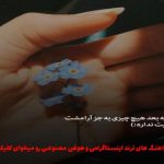 دانلود آهنگ ما شرط بندی کردیم از امیر تتلو (هوش مصنوعی)